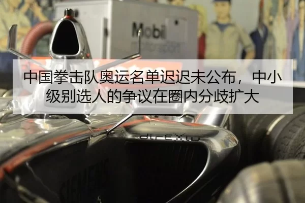 中国拳击队奥运名单迟迟未公布，中小级别选人的争议在圈内分歧扩大